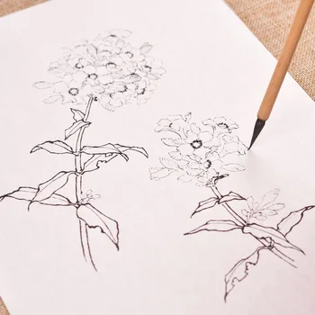 Китайски линеен фигура Цветен паус ръкопис за рисуване на цветя, лотос и праскова Китайска живопис, акварел Практика colorization